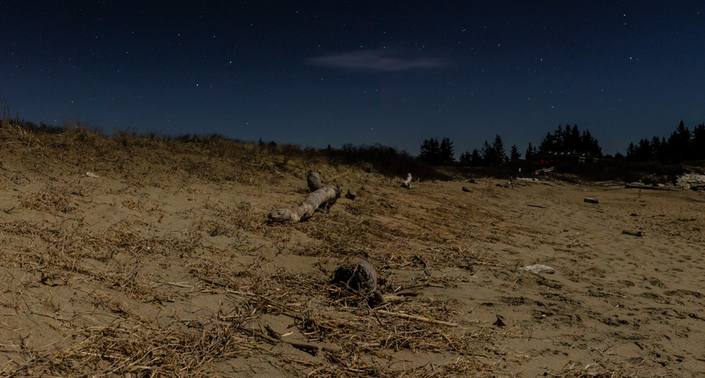 beach panorama 1